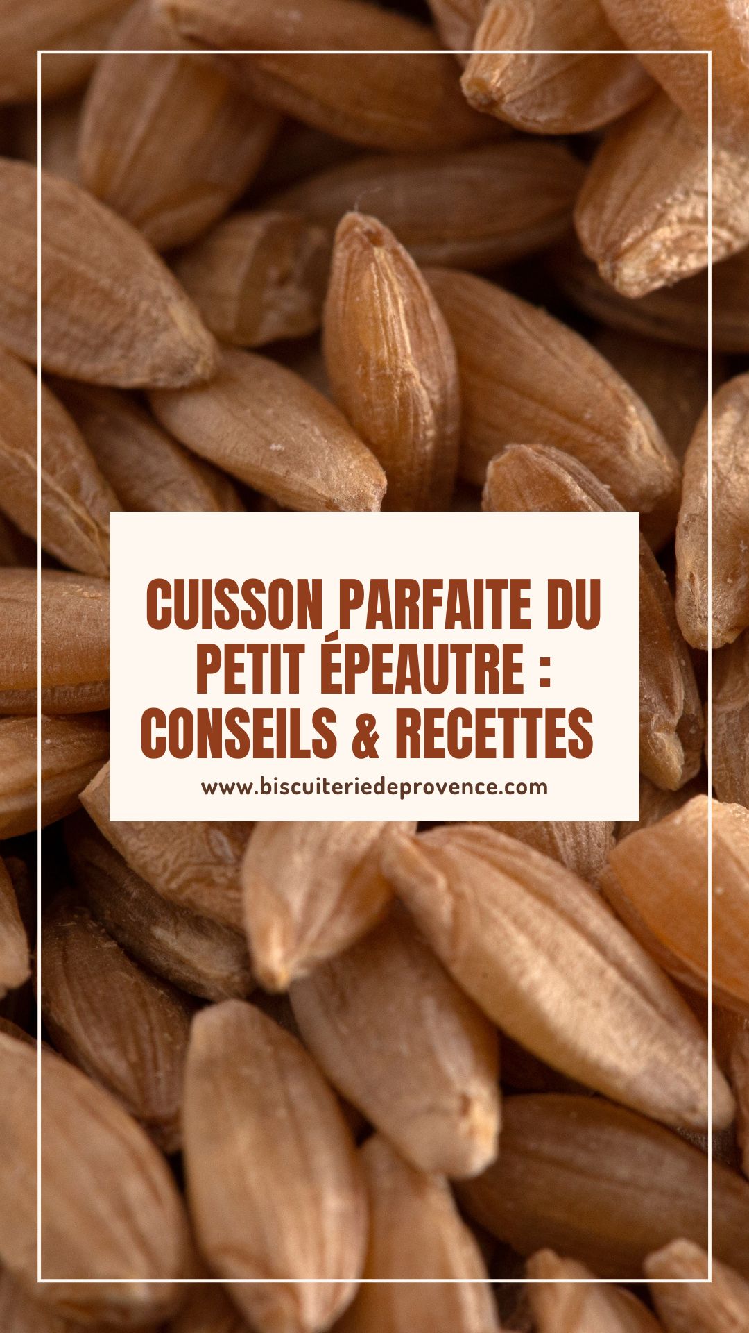 Cuisson parfaite du petit Épeautre : conseils & Recettes 