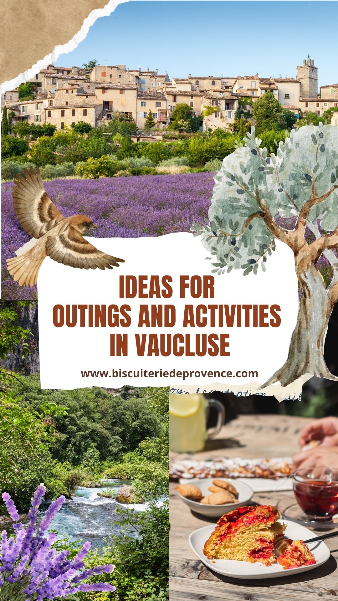 Ideas for  Outings and Activities  in Vaucluse