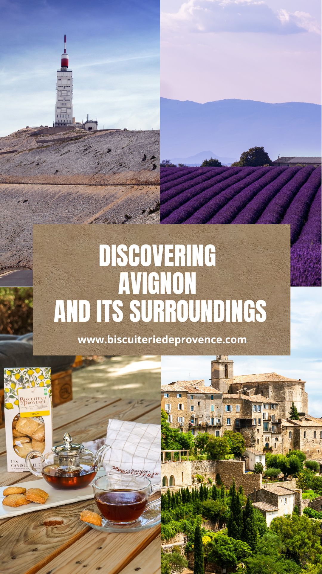 Discovering  Avignon  and its Surroundings