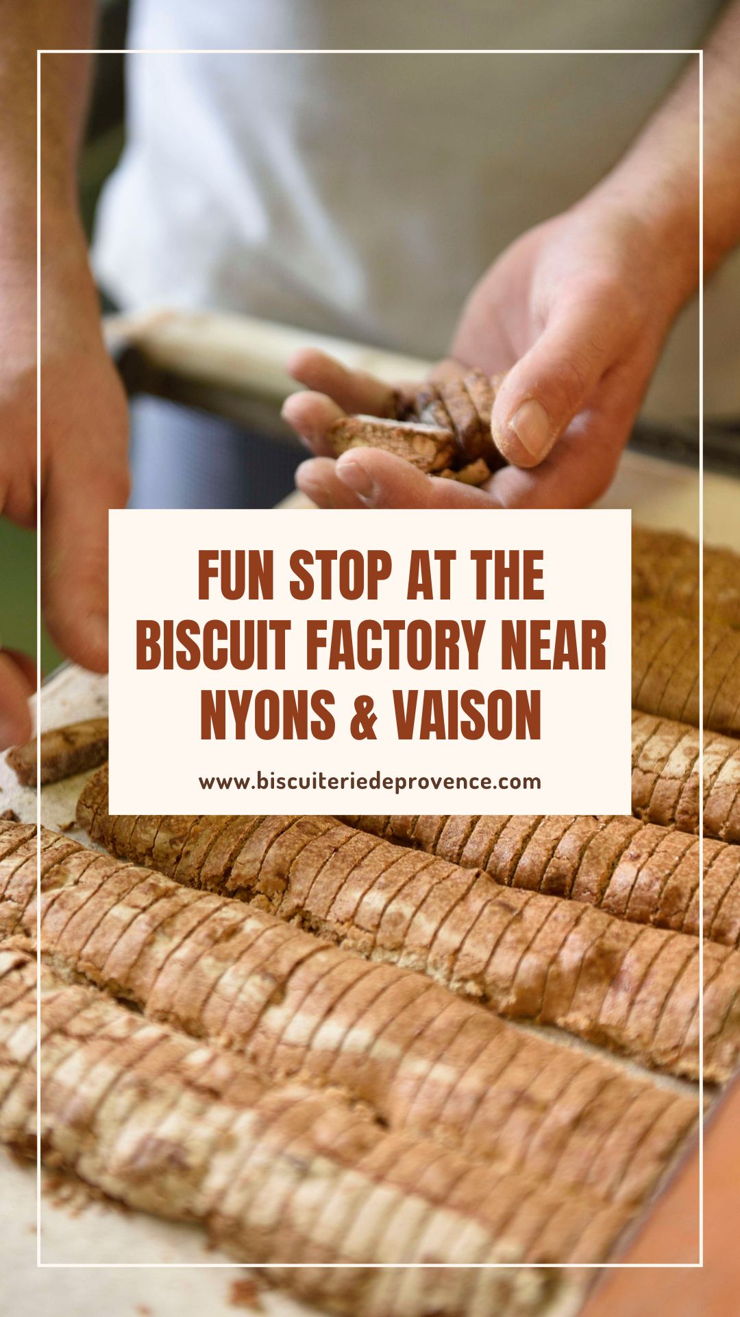 fun stop at the biscuit factory near nyons and vaison